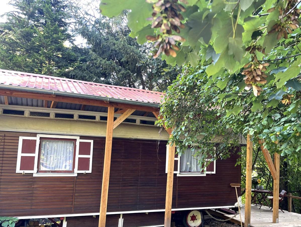 Historischer Zirkuswagen Mit Terrasse Und Blick Ins Gruene Witzenhausen Εξωτερικό φωτογραφία
